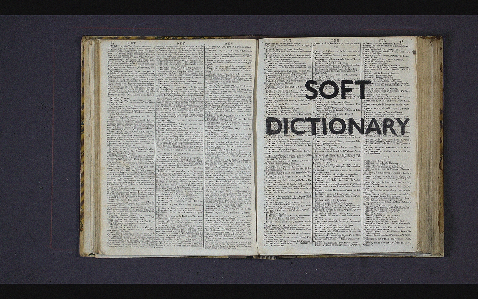 Soft Dictionary, 2016